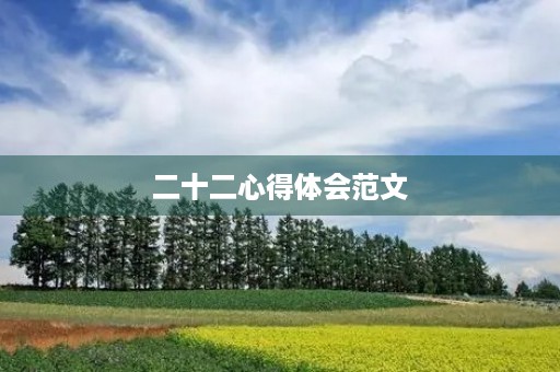 二十二心得体会范文