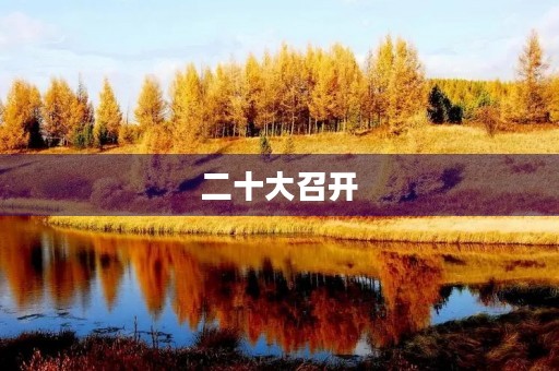 二十大召开,展望未来 二十大召开,展望未来