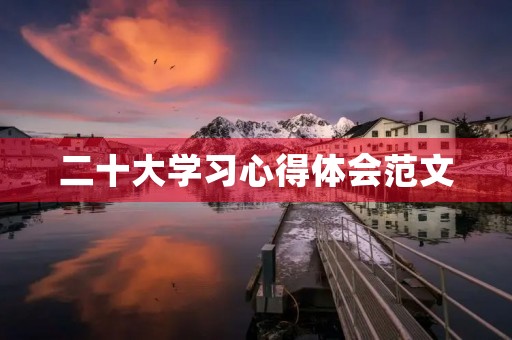 二十大学习心得体会范文