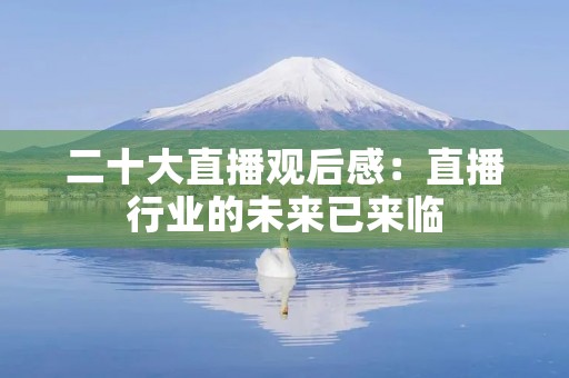 二十大直播观后感：直播行业的未来已来临