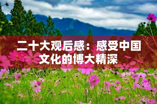 二十大观后感:感受中国文化的博大精深 二十大观后感:感受中国文化的博大精深