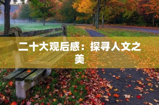 二十大观后感:探寻人文之美 二十大观后感:探寻人文之美