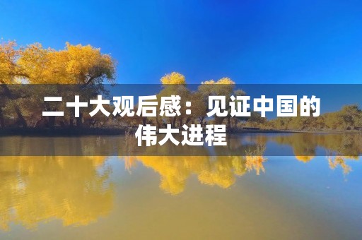 二十大观后感:见证中国的伟大进程 二十大观后感:见证中国的伟大进程