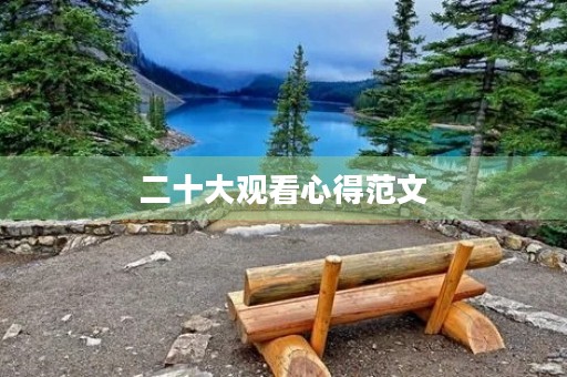 二十大观看心得范文