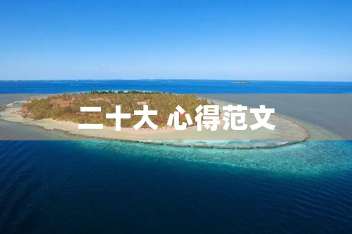 二十大 心得范文