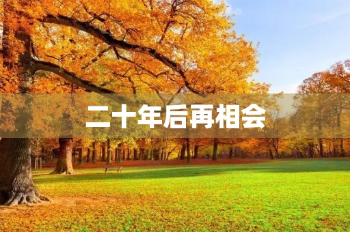 二十年后再相会，是否还会是那个模样？