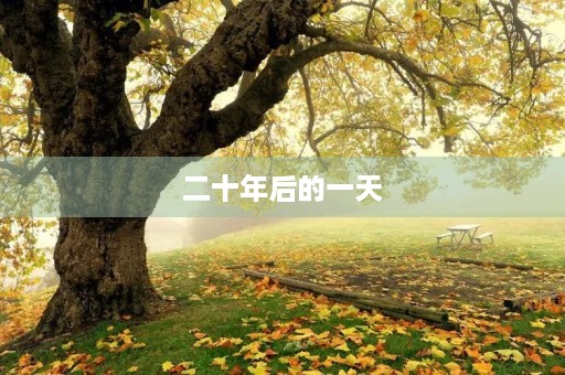 二十年后的一天 二十年后的一天