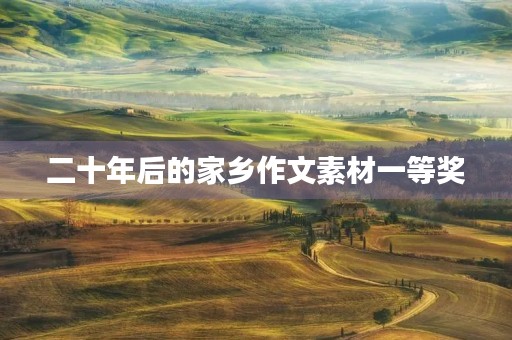 二十年后的家乡作文素材一等奖