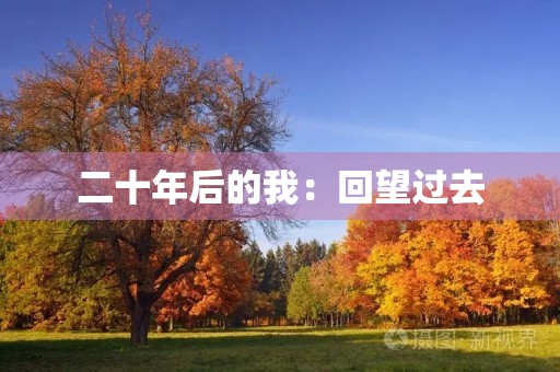 二十年后的我:回望过去,展望未来 二十年后的我:回望过去,展望未来