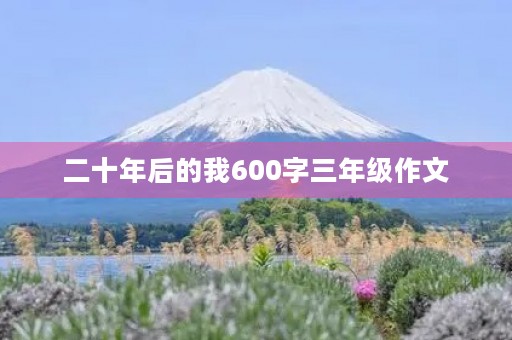 二十年后的我600字三年级作文
