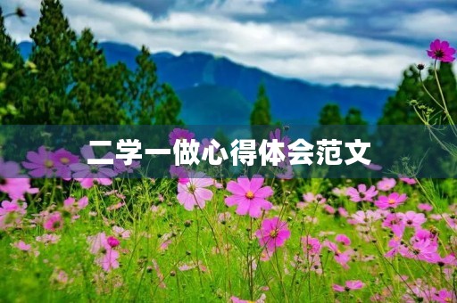 二学一做心得体会范文