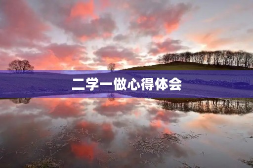 二学一做心得体会