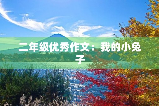 二年级优秀作文：我的小兔子