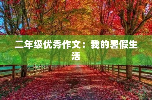 二年级优秀作文：我的暑假生活