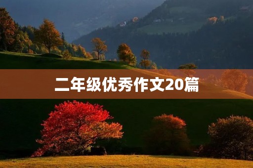 二年级优秀作文20篇 二年级优秀作文20篇