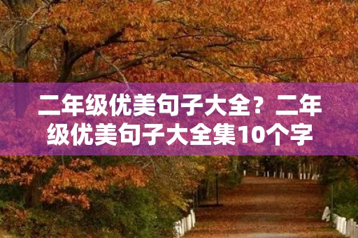 二年级优美句子大全?二年级优美句子大全集10个字 二年级优美句子大全?二年级优美句子大全集10个字