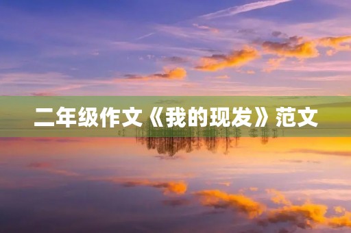 二年级作文《我的现发》范文