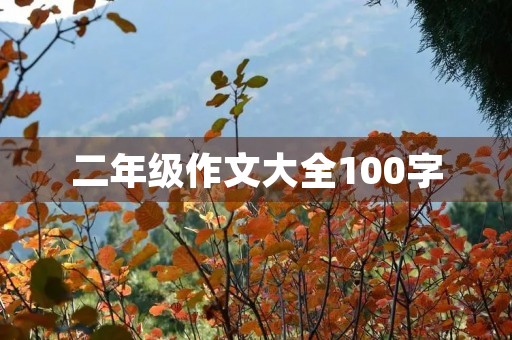 二年级作文大全100字 二年级作文大全100字
