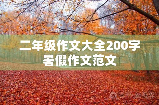 二年级作文大全200字暑假作文范文