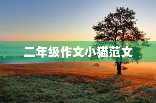 二年级作文小猫范文