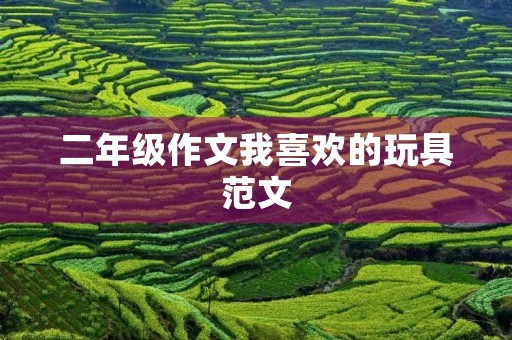 二年级作文我喜欢的玩具范文