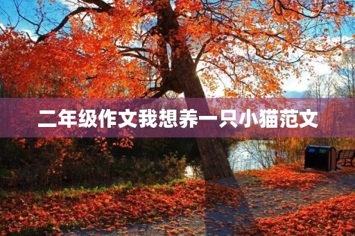 二年级作文我想养一只小猫范文 二年级作文我想养一只小猫范文
