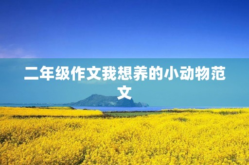 二年级作文我想养的小动物范文 二年级作文我想养的小动物范文