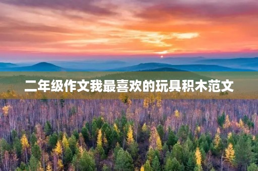 二年级作文我最喜欢的玩具积木范文 二年级作文我最喜欢的玩具积木范文