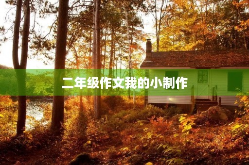 二年级作文我的小制作 二年级作文我的小制作