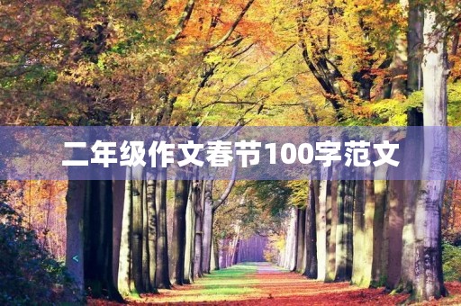 二年级作文春节100字范文