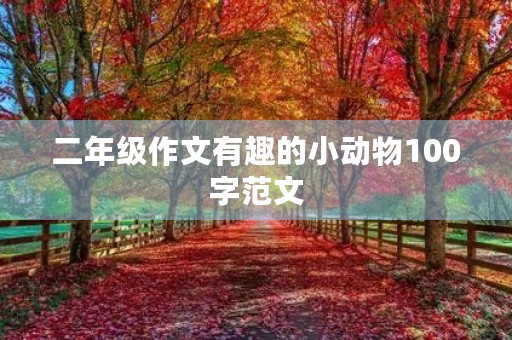 二年级作文有趣的小动物100字范文