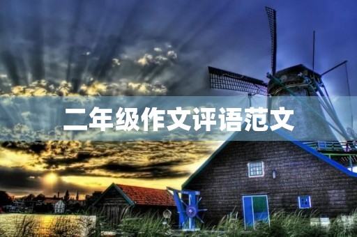 二年级作文评语范文