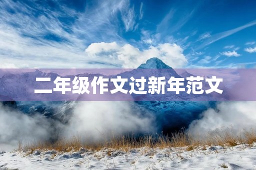 二年级作文过新年范文