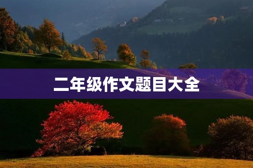 二年级作文题目大全 二年级作文题目大全
