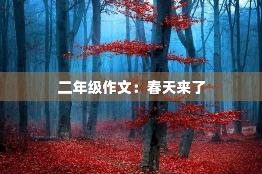 二年级作文:春天来了 二年级作文:春天来了