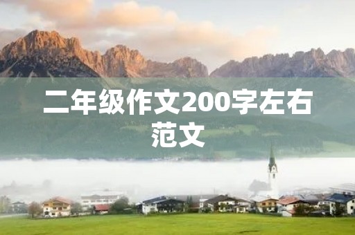 二年级作文200字左右范文