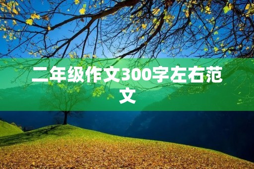 二年级作文300字左右范文