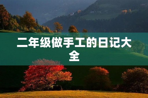 二年级做手工的日记大全 二年级做手工的日记大全