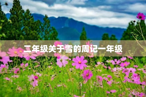 二年级关于雪的周记一年级 二年级关于雪的周记一年级