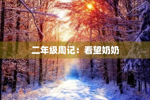 二年级周记：看望奶奶