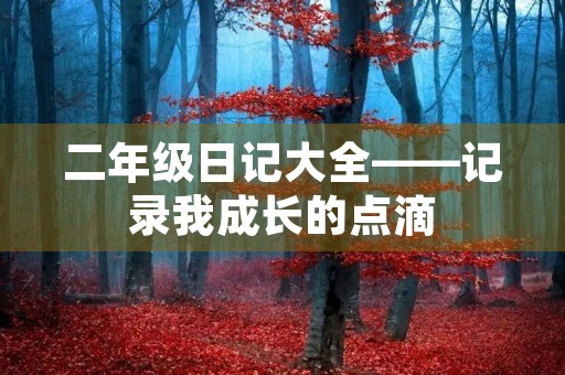 二年级日记大全——记录我成长的点滴