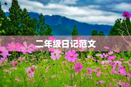 二年级日记范文