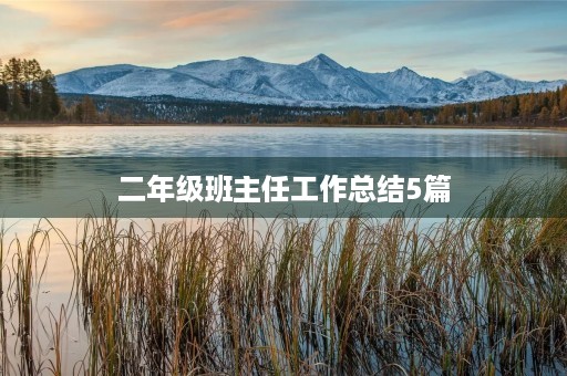 二年级班主任工作总结5篇