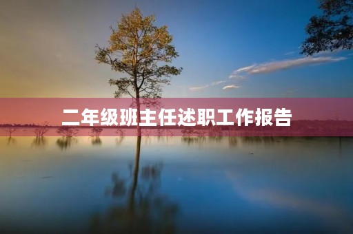 二年级班主任述职工作报告