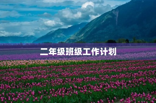 二年级班级工作计划 二年级班级工作计划
