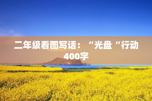 二年级看图写话：“光盘“行动400字