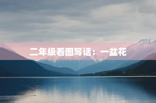 二年级看图写话：一盆花