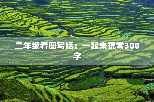 二年级看图写话:一起来玩雪300字 二年级看图写话:一起来玩雪300字