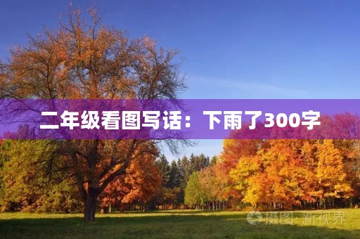 二年级看图写话：下雨了300字