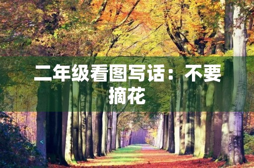 二年级看图写话:不要摘花 二年级看图写话:不要摘花